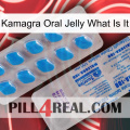 Kamagra Oral Jelly What Is It new15